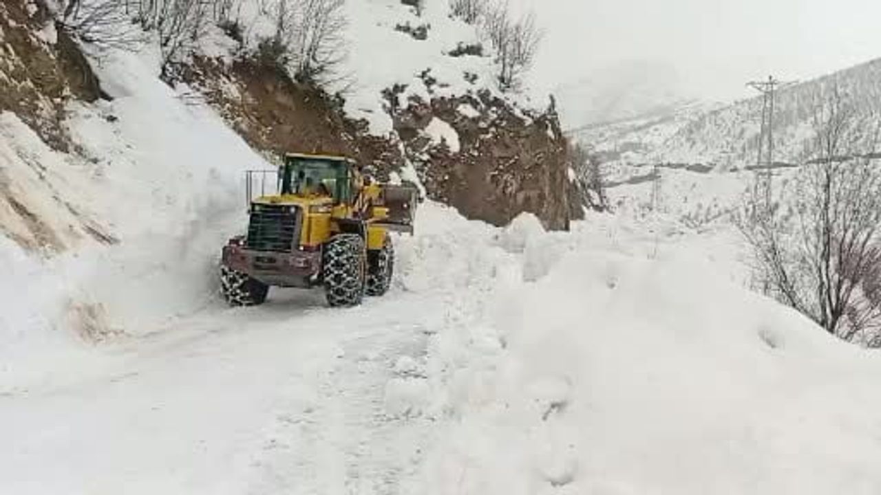 Şirvan'da Kar Yağışı Nedeniyle Yolda Kalan Araçlar Kurtarıldı