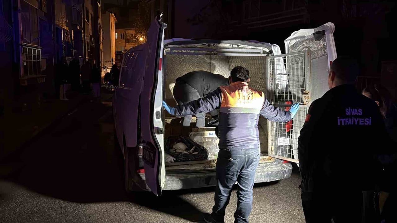 Sivas'ta Yangın Faciası: 26 Kedi Hayatını Kaybetti