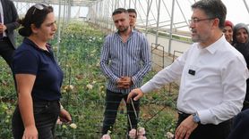 Tarım ve Orman Bakanı Yumaklı'dan Tokat'ta Güvenli Gıda Açıklamaları