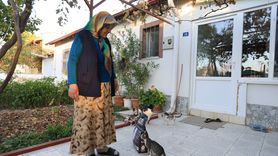 Kayseri'de Yaşlı Kadına Kedileri İçin Mama Desteği