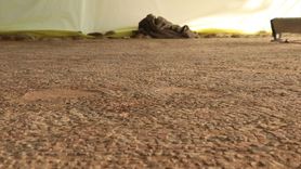 Pompeiopolis Antik Kenti'nde Mozaik Restorasyonu Tamamlandı