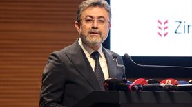 Türkiye, Avrupa Birliği Ülkelerine Kanatlı Eti İhraç Edecek