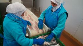 Su Ürünleri İhracatında 2.5 Milyar Dolar Hedefi