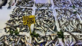 Trabzon'da Balık Fiyatları Nasıldır?