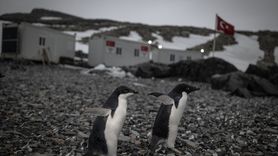 Antarktika'da Yeni Bilimsel Araştırmalar Başladı