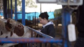 Aydan İşci'nin Hayvancılığa Dönüşü: Kadın Girişimciliğin Gücü