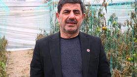 Hatay'da Zirai Don Sebze Üretimini Olumsuz Etkiledi