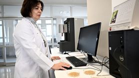 Yerel Buğdayların Ticari Çeşitlerle Rekabeti