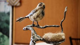 Kenevir Lifleriyle Sanatsever Kadınlar