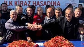 Manisa'da İlk Erkenci Kiraz Hasadı Gerçekleşti