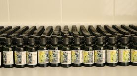 Tekirdağ'da Üzüm Çekirdekleri Ekonomiye Kazandırılıyor