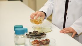 BTÜ'de Çevre Dostu Ambalaj Geliştirme Projesi