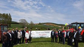 İstanbul'da 1 Milyon 254 Bin Fide Üreticilere Dağıtılacak