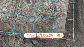 İztuzu Sahili'nde Caretta Carettalar Yumurtlamaya Başladı