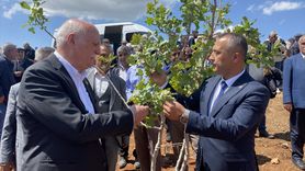 Zirai Don Zararları İncelendi