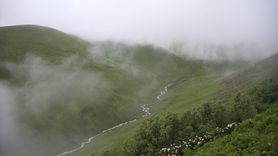 20. İkizdere Dağ Horozu Şenliği Gerçekleşti