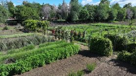 Edirne'de Renkli Bir Doğa Deneyimi: 'Koku Tüneli' Açıldı