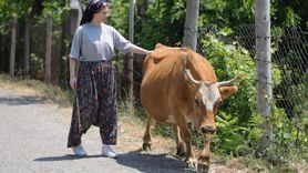 Köyde Wushu Şampiyonu: Berrin Tazıcı'nın Milli Forma Heyecanı