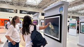 Akdeniz'de Tehlike Altındaki Türler Sergisi Antalya Havalimanı'nda Açıldı