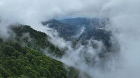 Hıdırnebi Yaylası: Trabzon'un Gizli Cenneti