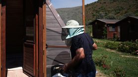 İzmir'de Alerji ve Solunum Sorunlarına Karşı Arı Havası Uygulaması