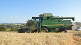 Samsun Havza'da Buğday Hasadı 90 Bin Ton Bekleniyor