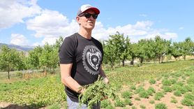 Tarhun Üretimi İçin ABD'li Firma Bayburt'ta İncelemelerde Bulundu