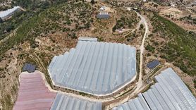 Antalya'nın Tropikal Meyve Bahçeleri Güneş Enerjisiyle Hayat Buluyor