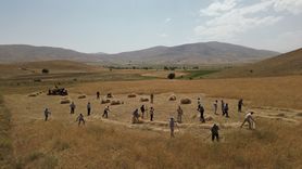 Bayburt'ta Asırlık Aletlerle Hasat Coşkusu