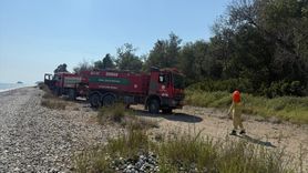 Fethiye'deki Orman Yangını Hızla Kontrol Altına Alındı