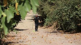 Türkiye'nin İlk Kadın Kar Leoparı: Esin Handal