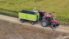 Edirne'de Çeltik Hasadı Başladı: Rekolte Beklentileri Yükseldi