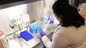 Kütahya'da Bor Mineralli Ürün Geliştirildi: Bağırsak Hastalıklarına Yenilikçi Çözüm