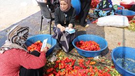 Şanlıurfa'da Mevsimlik Tarım İşçilerine Mobil Sağlık Hizmeti