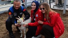 TEKNOFEST İstanbul'da Tarım Teknolojileri Kümelenmesi'nin İkinci Günü