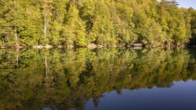 Yedigöller'de Sonbahar Güzellikleri