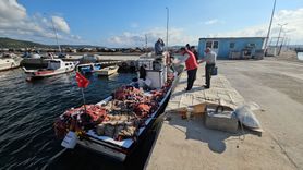 Çanakkale'de Balık Avında Sürpriz: 1000 Palamut