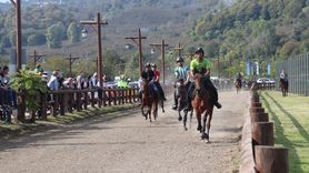 Cumhuriyet Kupası Rahvan At Yarışları Ünye'de Gerçekleştirildi