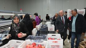 Denizli'de İhracatlık Nar Hasadı Başladı