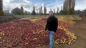 Isparta'da Döküntü Elmalar Meyve Suyuna Dönüşüyor