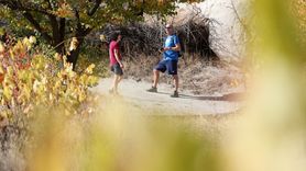 Kapadokya'da Sonbaharın Güzellikleri
