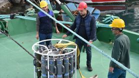 Karadeniz'de Balık Stokları Araştırması