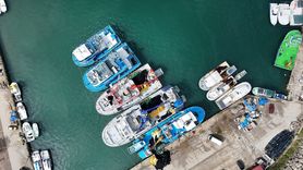 Ordu'da İstavrit Avı Bereketli Geçiyor