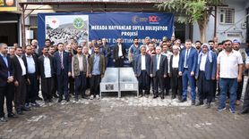 Şanlıurfa'nın Siverek İlçesinde Hayvan Yetiştiricilerine Sıvat Desteği