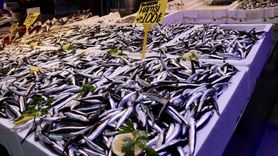 Trabzon'da Hamsi Fiyatları Yükseliyor