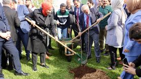 Trabzon'da Meyve Fidanı Dağıtımı