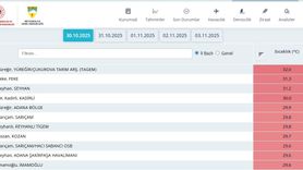 Adana'da Sıcaklık Rekorları: İklim Değişikliği Etkisi