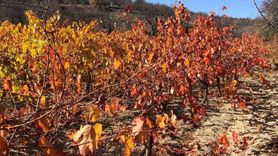 Arapgir'de Sonbahar Güzellikleri