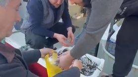 Balıkçılar, Yüksek Fiyatları Protesto Etti