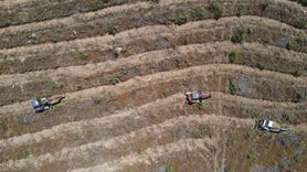 Çanakkale'de 2025 Yılında Orman Yangınları Sonrası Yeniden Ağaçlandırma Çalışmaları